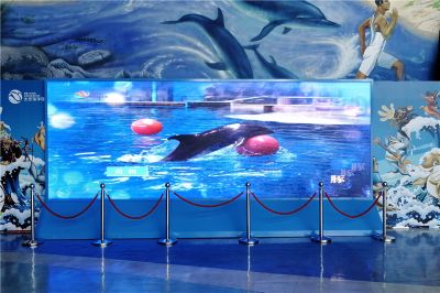 北京海洋館室內P3高清全彩LED顯示屏（安裝地點：北京海洋館）